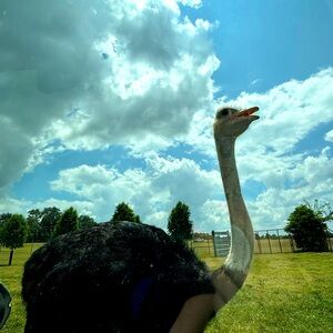 Meet your Posher, Mimi.